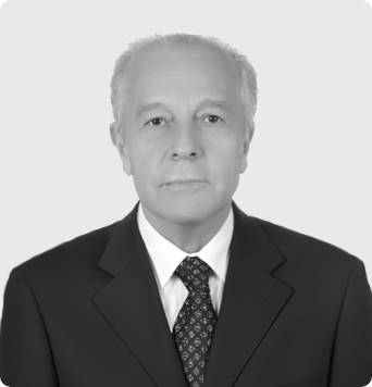 Mehmet Mesut ADA